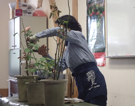 P7280009 - コピー.JPG