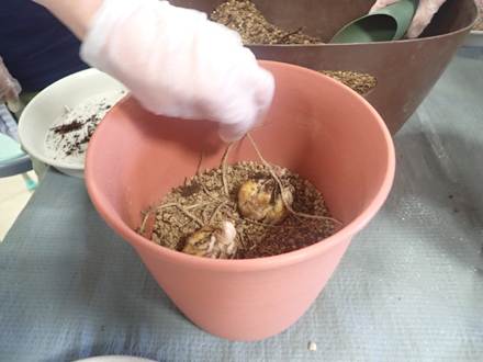 P6160030 - コピー.JPG