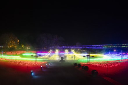霧の庭園のイルミネーション