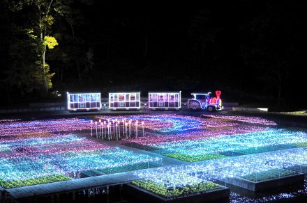 水上花壇のイルミネーションとスタートレイン