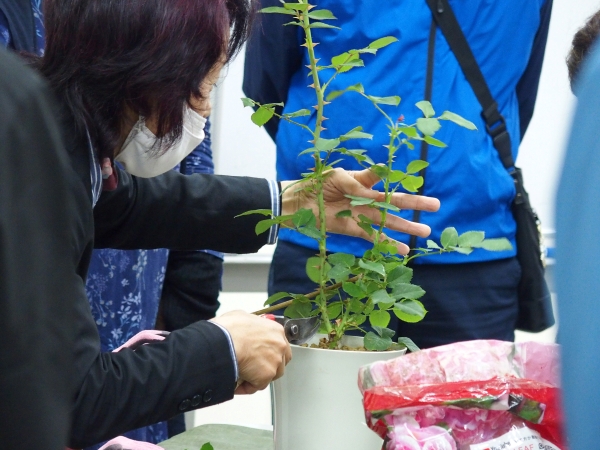 バラ教室5月.JPG