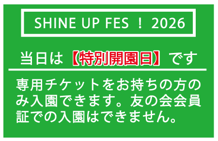 SHINEUPFES_2.png