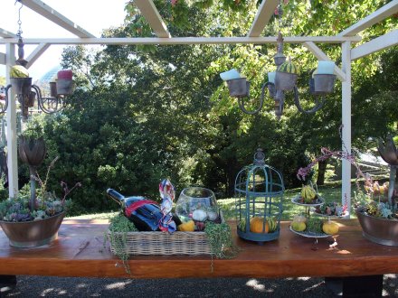 2025.10.09 (西館テラス26) (12).JPG