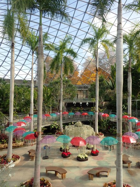 2025.11.11 (ドーム中央上から16).JPG