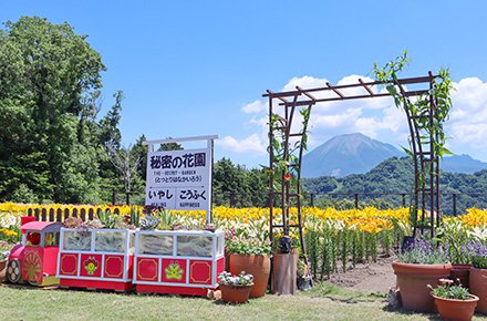 ★★ユリ・秘密の花園6月13日（6）-440.jpg