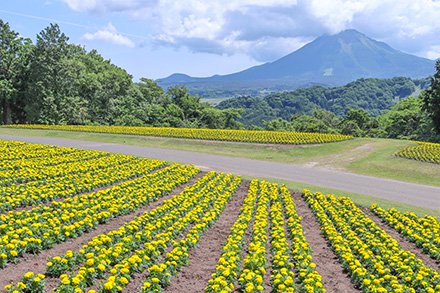 ☆花の丘5月25日（3）-440.jpg
