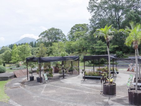 食虫植物展看板