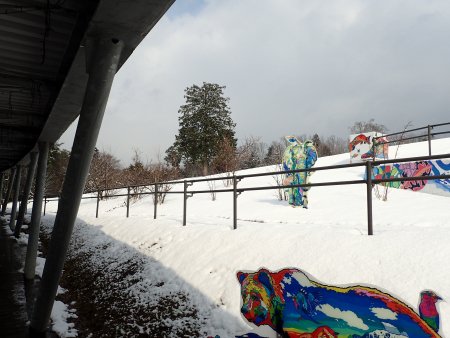 2026.1.24 (花の丘ロウバイ62).JPG