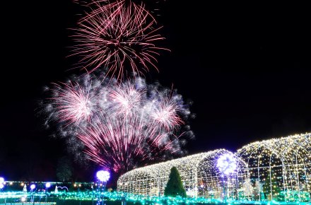 ヨーロピアンガーデン