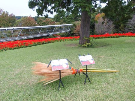 2025.10.25 (花の丘とほうき2).JPG