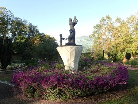 2025.10.24 (サルビアレウカンサ21).JPG