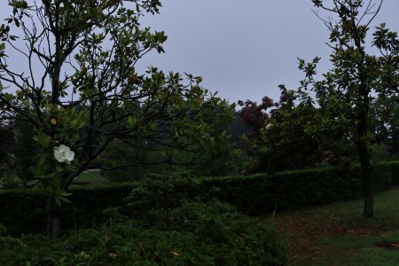 IMG_93322.JPG