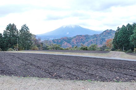 ★花の丘12月5日（3）-440.jpg