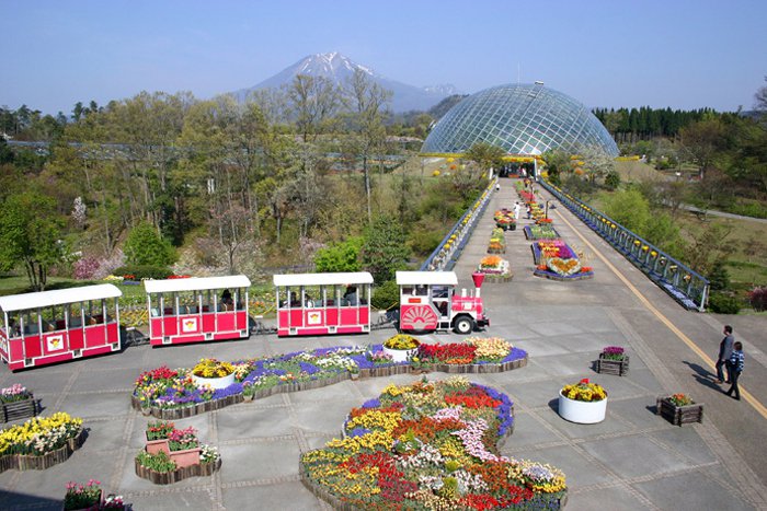 What is Tottori Prefctural Flower Park?