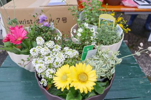 春の寄せ植え体験.JPG