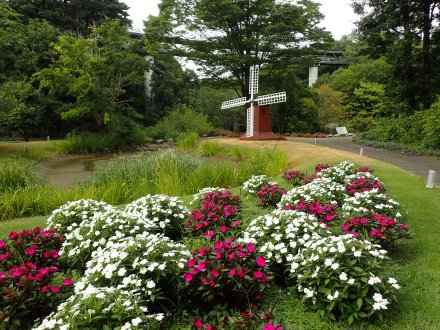 花の谷遠景