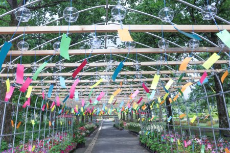風鈴トンネル・東館通り7月13日（23）.JPG