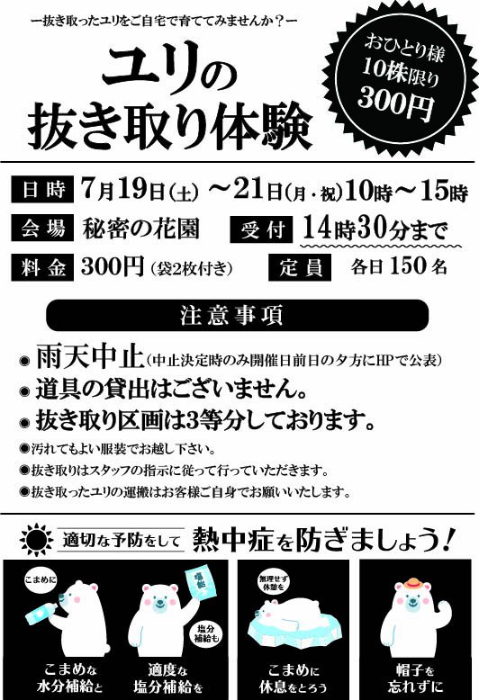 R7ユリの抜き取り(チラシ用)(A4).jpg