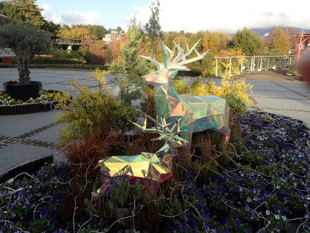 2025.11.19 (草原のトナカイ) (12).JPG