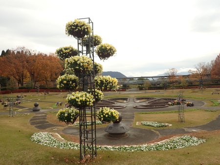 2025.11.24 (霧の庭園全景) (5).JPG