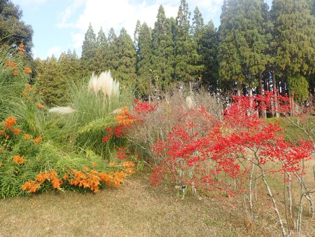 2025.12.9 (グレイスガーデン48).JPG