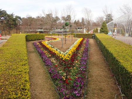 2025.12.23 (花壇66) (ヨーロピアンガーデン花壇2).JPG