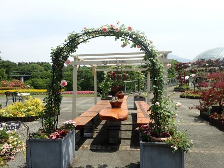 2025.5.23 (王様の食卓1).JPG
