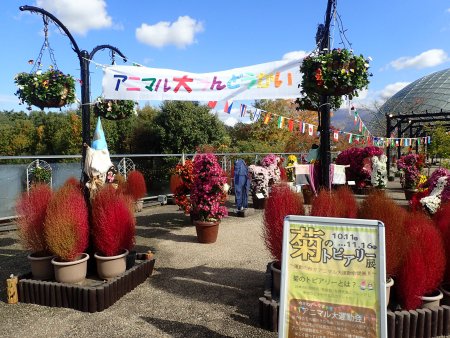 2025.11.11 (トピアリー展2).JPG