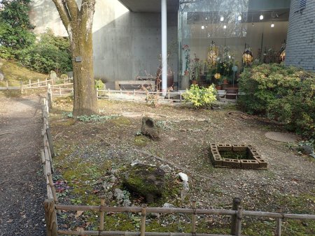 2025.12.9 (原種シクラメン) (21).JPG