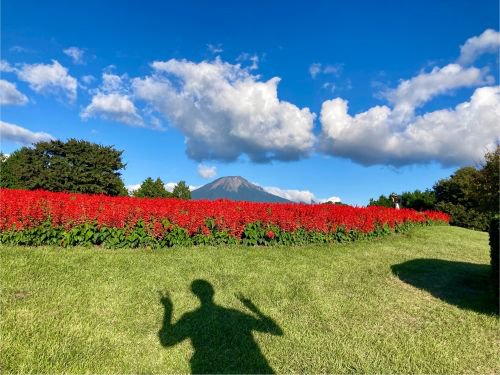 ジュニア賞　おとうさんのかげがうつってきた