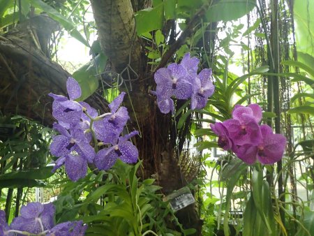 2025.12.14 (南館・バンダ29).JPG