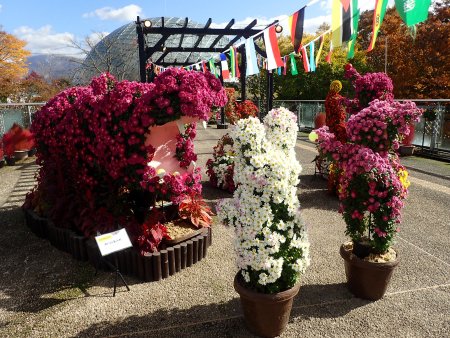 2025.11.11 (玉入れ5).JPG