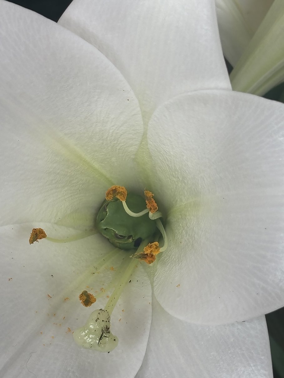 佳作　まだ寝させて〜