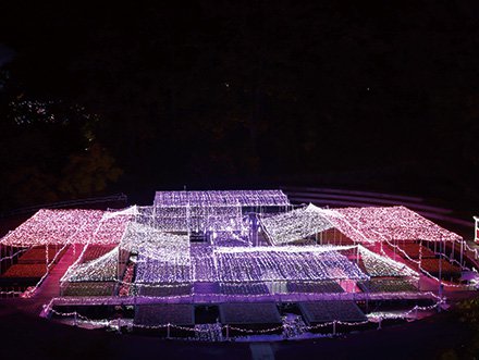 水上花壇