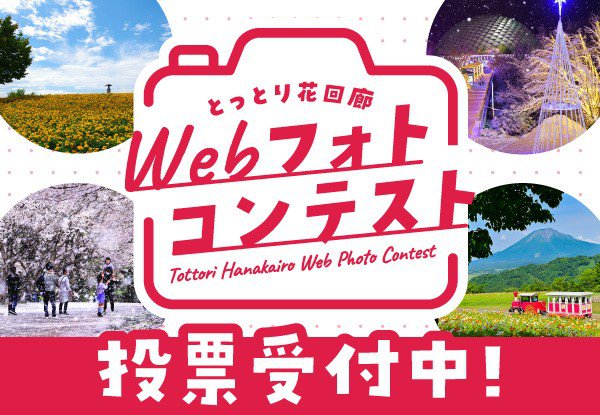 Webフォトコンテスト