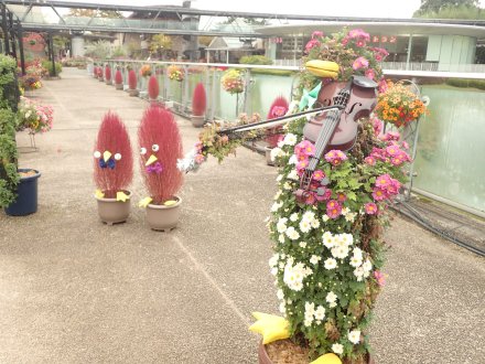 2024.10.24 (菊のトピアリーバイオリン16).JPG