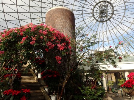 2025.12.9 (キャリアンドラ赤) (24).JPG