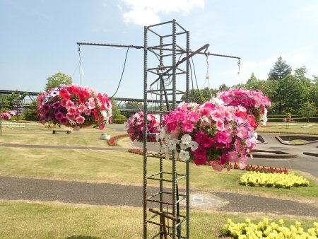 霧の庭園ペチュニアハンギング.JPG