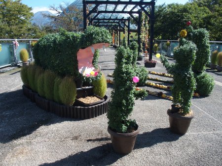菊のトピアリー展