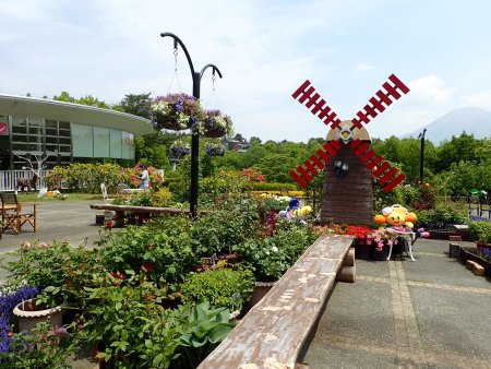 2025.5.12 (西館テラス1) (216).JPG