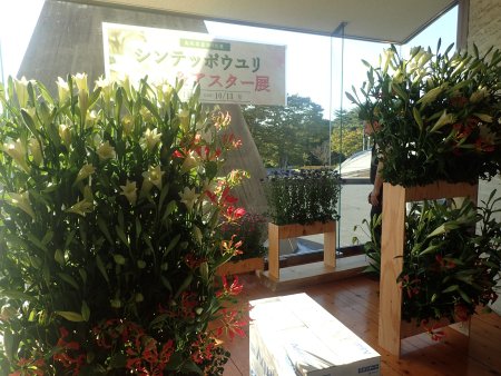 2025.10.10 (メイン展示4).JPG
