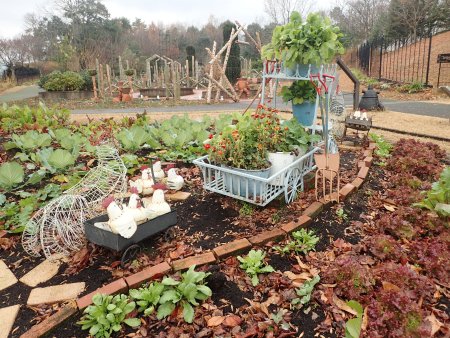 2025.12.14 (ハーブ園・野菜畑227).JPG