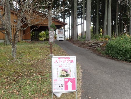 2025.11.14 (ストック展) (場所7).JPG