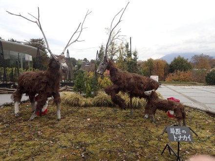 2025.11.24 (西館テラス) (草原のトナカイ3).JPG