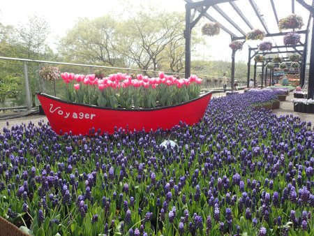 2026.4.12 (ブルーリバー58).JPG