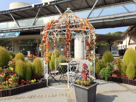 2026.10.1 (西館テラスガゼボ21).JPG