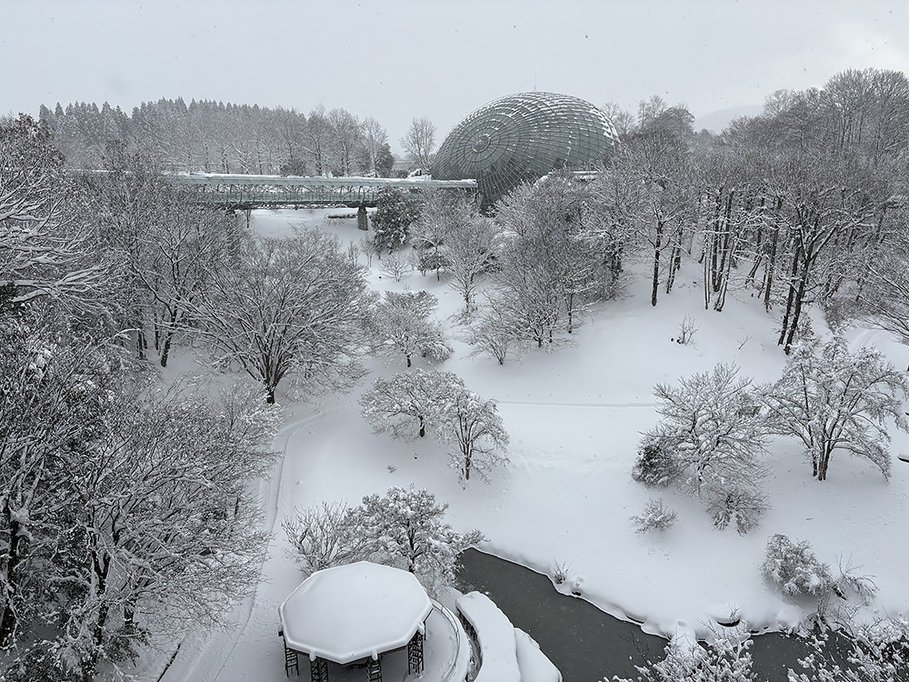 佳作　雪の回廊