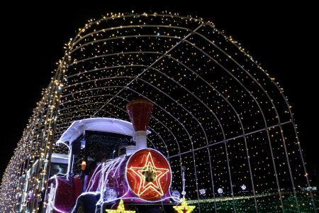 フラワースタートレイン