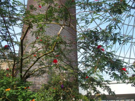 ドーム）キャリアンドラ2026.2.5 (1).JPG