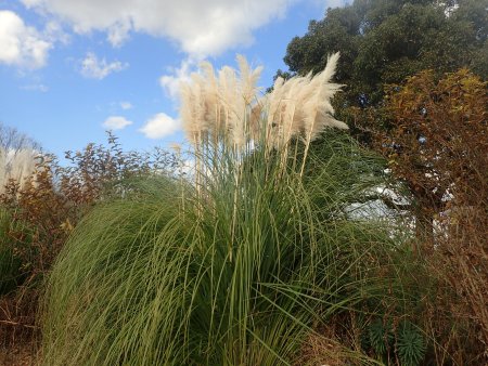 2025.12.9 (グレイスガーデン51).JPG